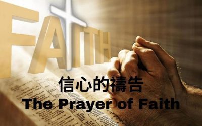The Prayer of Faith – (Sunday Service Sep 26)